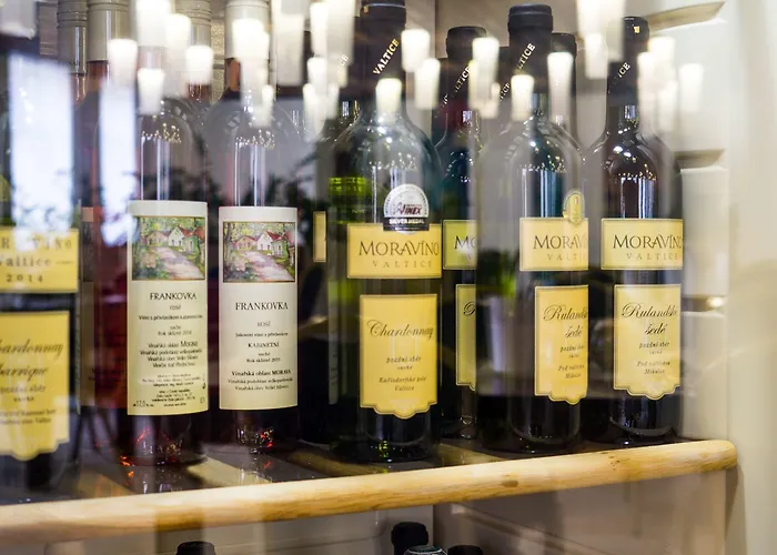 Hotel Liberec 호텔